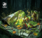 Preview: Elven Warrior of the Living Forest